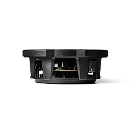 Alpine RS-W10D2 R-Series 10" 25cm Shallow Car Audio Subwoofer with Dual 2-Ohm Voice Coils