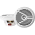 Alpine SPS-M601W Marine 16.5 cm 2-Way Coaxial Speakers White