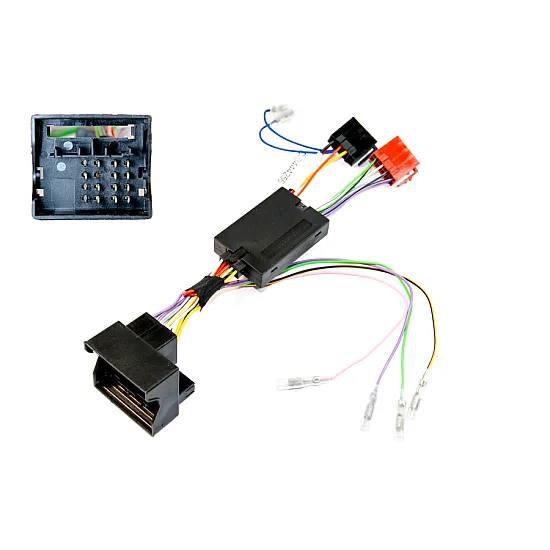 Skoda with RCD210 Radio Single DIN Stereo Upgrade Fascia, SWC Fitting Kit