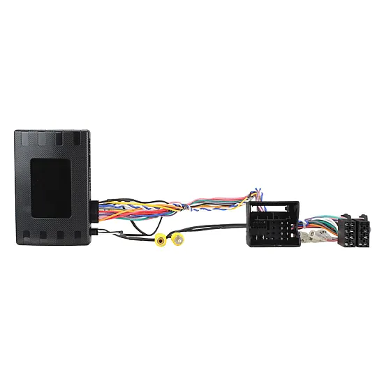 Seat Arona, Ibiza Double DIN Car Stereo Fascia SWC Fitting Kit