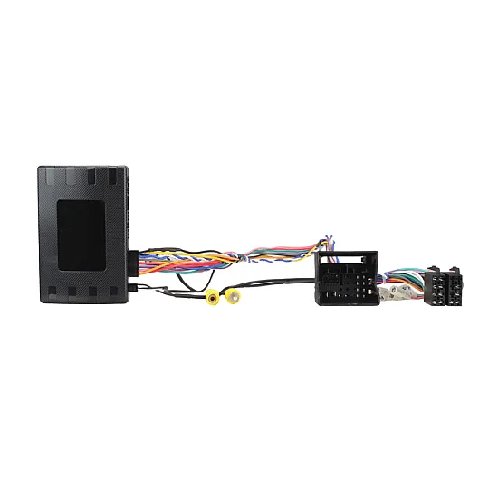 Seat Ibiza, Leon Double DIN Car Stereo Fascia SWC Upgrade Fitting Kit
