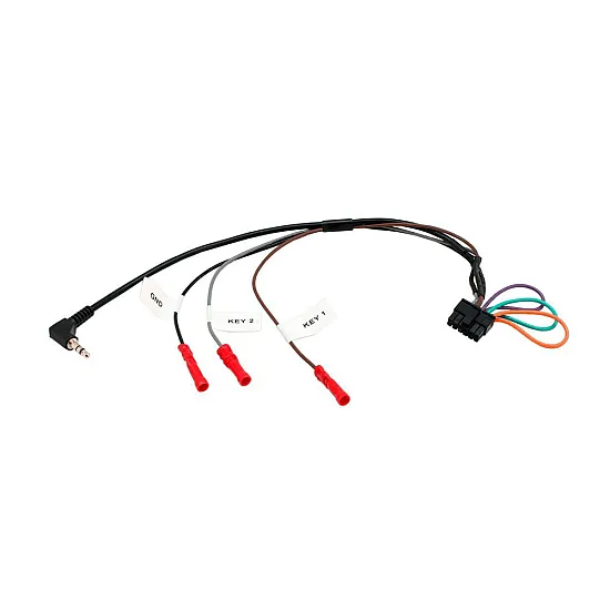 Seat Ibiza, Leon Double DIN Car Stereo Fascia SWC Upgrade Fitting Kit