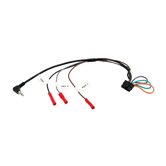 Ford EcoSport (2013-2019) Double DIN Car Stereo Fitting Kit (SWC/PDC)