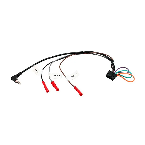 Ford B-Max (2012-2018) Double DIN Car Stereo Fitting Kit (WITH SWC/PDC/SWITCH)