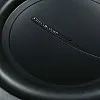 Phoenix Gold Z8S4 Z-Series 8 inch 20cm 450W Car Subwoofer Phoenix Gold Z8S4 Z-Series 8 inch 20cm 450W Car Subwoofer