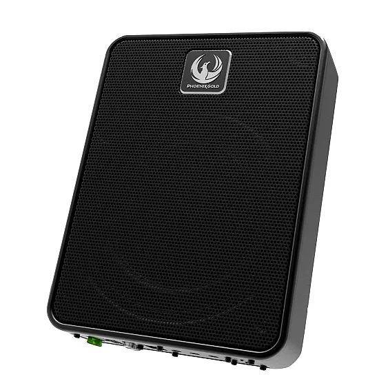 Phoenix Gold ZB8P Z-Series 8 Inch Ultra Compact Active Under Seat Subwoofer Phoenix Gold ZB8P Z-Series 8 Inch Ultra Compact Active Under Seat Subwoofer