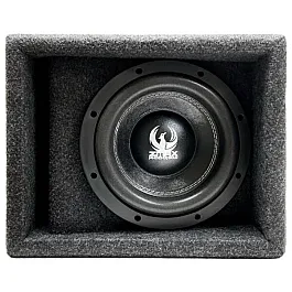Phoenix Gold ZMAX18PB 8 inch 1500W Max Ported Car Subwoofer Bass Box