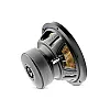 Focal P 20 FE - 20cm / 8" 500W Flax Evo Subwoofer