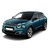 C4 Cactus