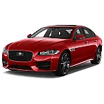 XF