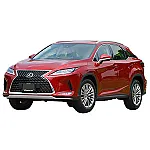 RX300