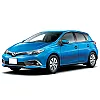 Auris