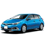 Auris